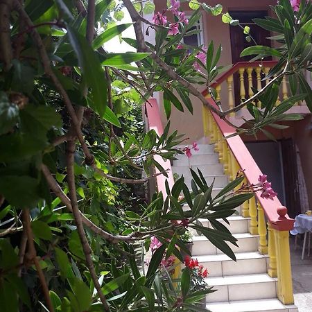 Apartman Tatjana Sutomore Buitenkant foto